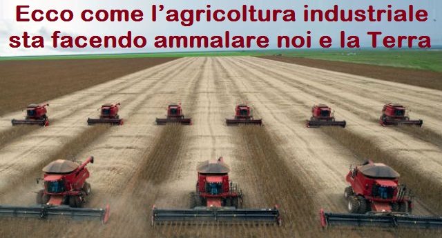agricoltura industriale 