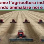 agricoltura industriale