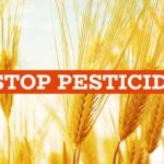 Stop pesticidi